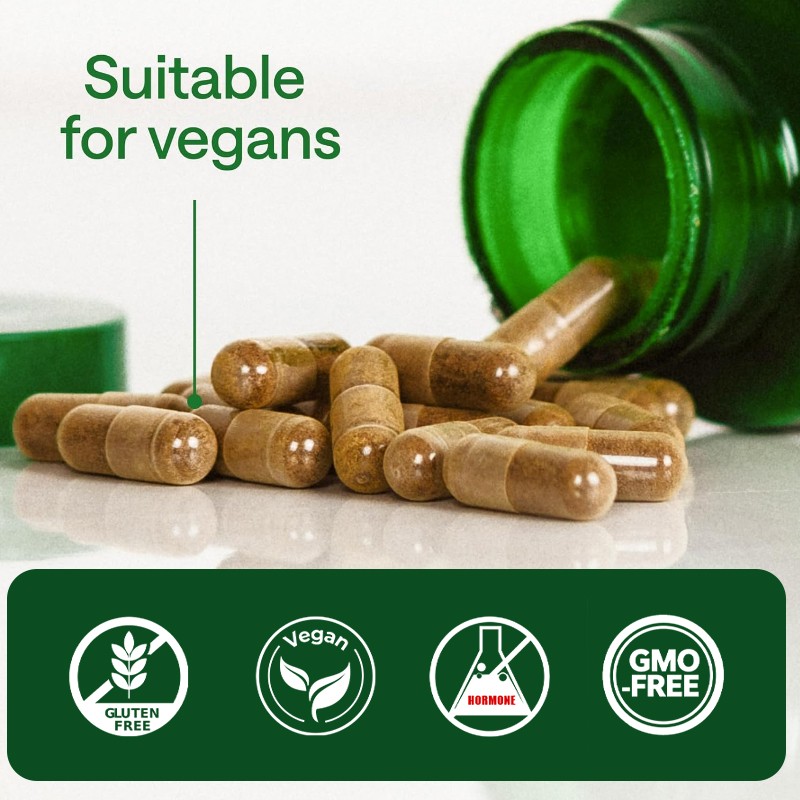 New Arrival Ashwagandha Root Extract Capsules - Natural Anxiety & Sleep Support, Vegan