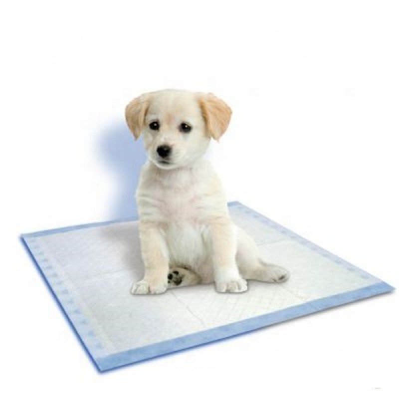 Pet Training Pads Manufacturer - Disposable Dog Puppy Waterproof Easy Clean