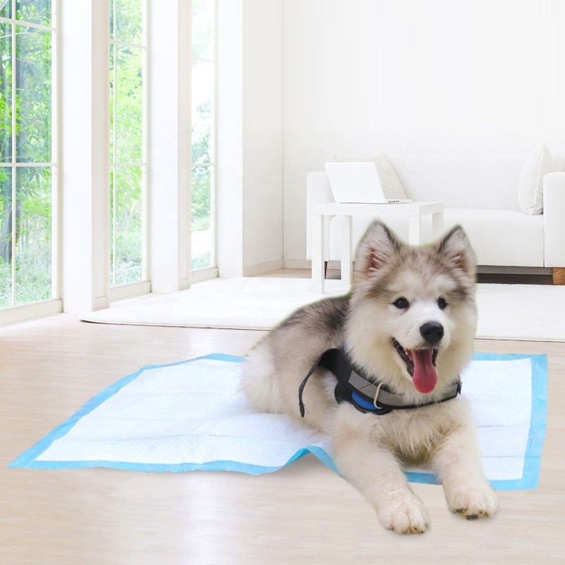Pet Pads Manufacturer - Puppy Pee Strong Absorption Quick Drying Waterproof
