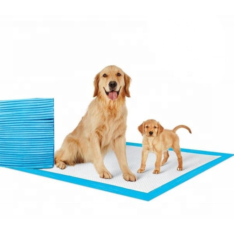 Pet Pads Manufacturer - Waterproof Strong Absorption Skin Friendly Easy Clean