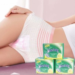 Sanitary Pants Factory - Lady Disposable Menstrual Pants Processing