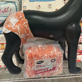 Dog Diaper Factory - OEM Factory New Arrival Fashion Printed Female