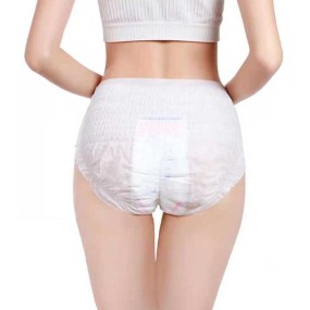Menstrual Panties Manufacturer - Free Sample Premium Quality Leak Proof