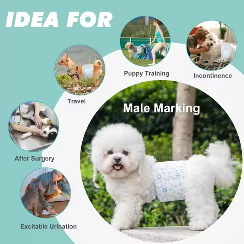 Pet Diaper Manufacturer - Unisoft Factory Best Price Leakproof Breathable