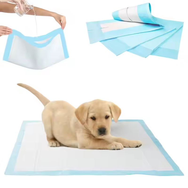 Pet Training Pad Manufacturer - Factory Wholesale New Design Super Absorbent