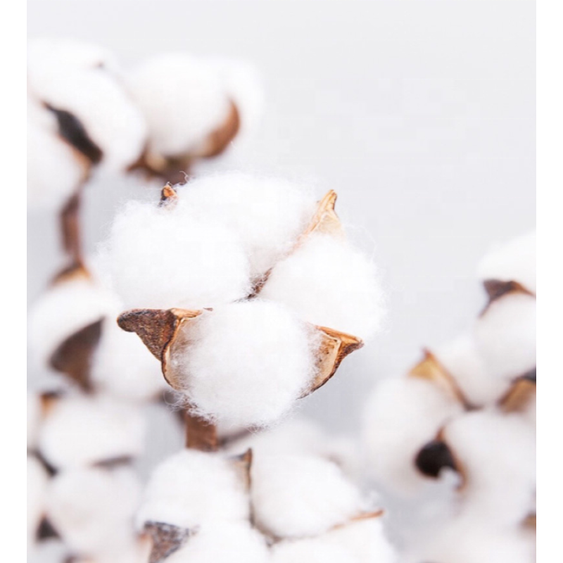 Sanitary Napkins Manufacturer - Disposable Ultra-thin Cotton Super Absorption Experienced