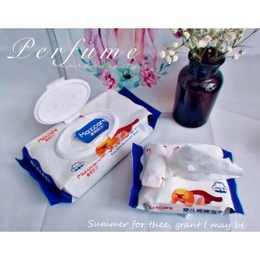 Baby Wipes Manufacturer - Low MOQ 80 Pieces Wholesale Ready to Ship