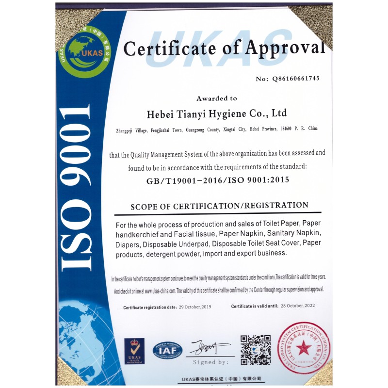 Adult Baby Diaper Manufacturer - 2023 NB Hot Sell Vintage Disposable