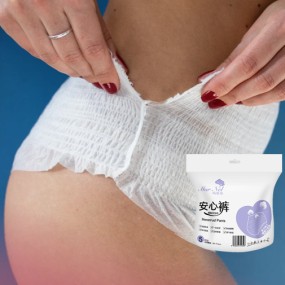 Sanitary Napkins Pants Supplier - A2 2024 Disposable Pure Cotton Winged