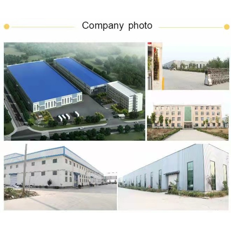 Panty Liner Manufacturer - A3 Most Popular Wingless Daily Cotton