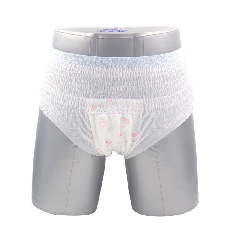 Sanitary Pants Manufacturer - Everyday Comfort Discreet Light Absorption Daily Wear All-Day