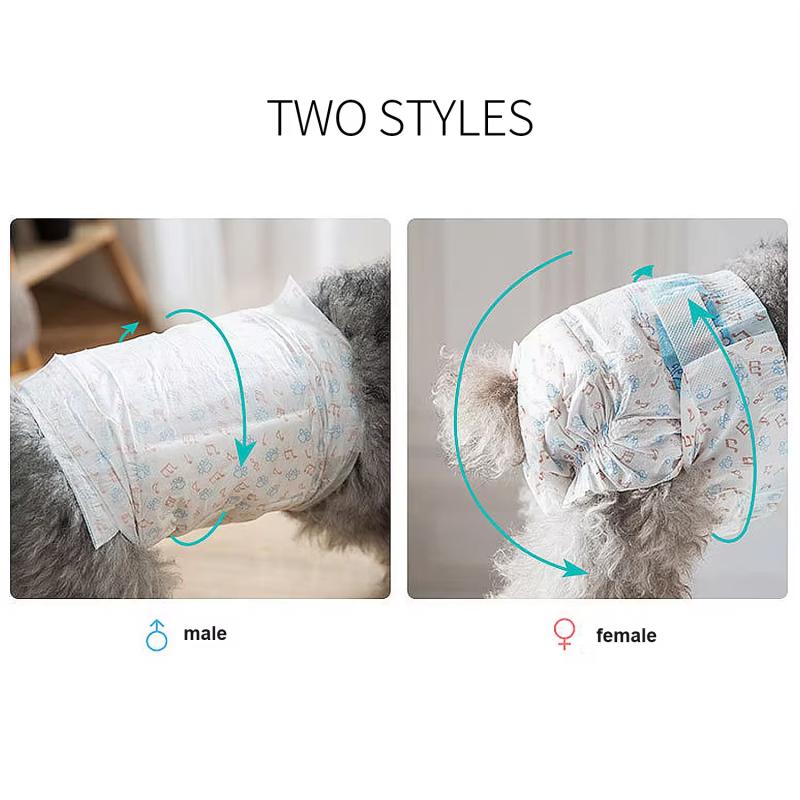 Pet Diapers Manufacturer - Free Sample Custom Disposable Old Cheap Female Male Xs Modern Design