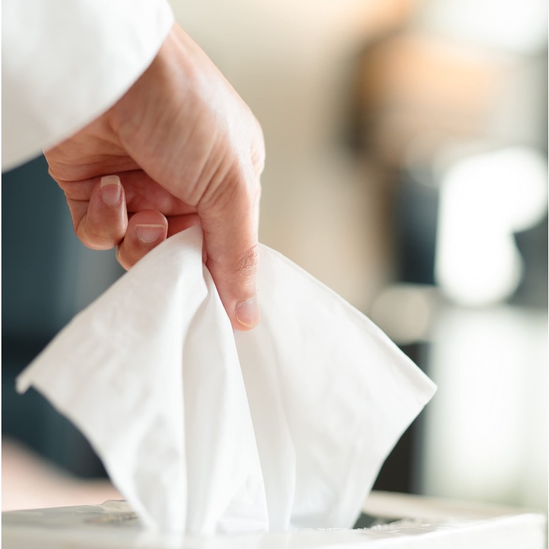 Facial Tissue Manufacturer - 100% Virgin Wood Pulp 2 Ply Facial Tissue Paper Soft Pack