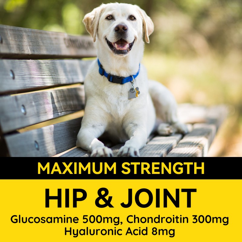 OEM Multivitamin Soft Chew Nutrition Supplements for Dogs Cats 10 1 Dog Multivitamin Glucosamine Immune Vitamins Pet Health Care