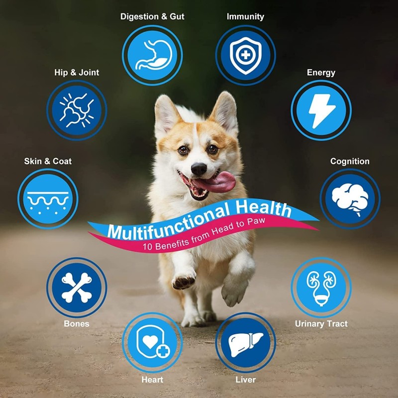 Probiotics Dog Vitamins with Glucosamine Chondroitin MSM Omega 3 Calcium Flea Tick Treatment Premium Pet Health Care Supplements