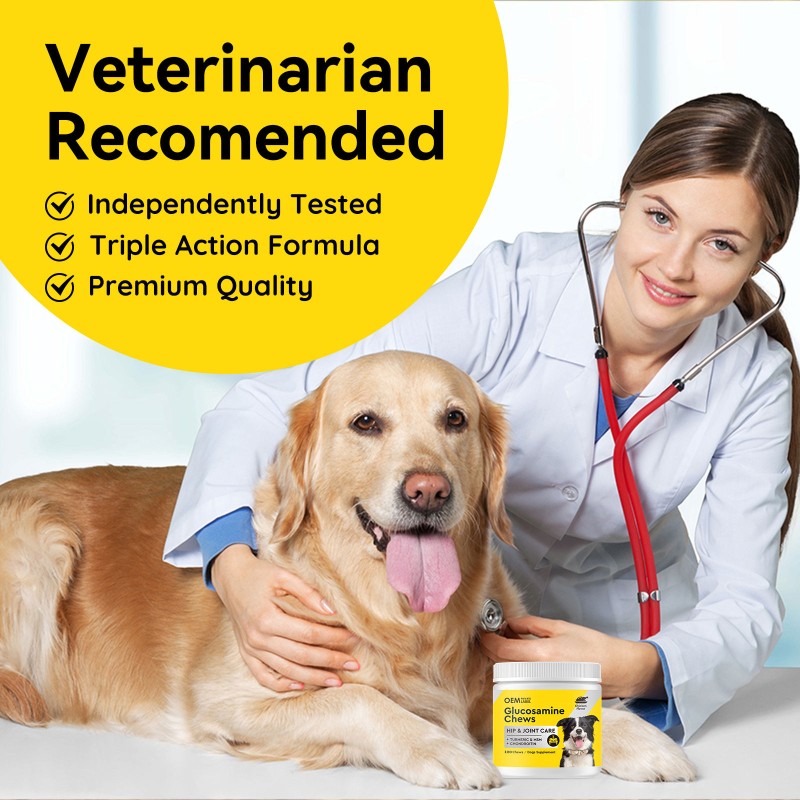 OEM Multivitamin Soft Chew Nutrition Supplements for Dogs Cats 10 1 Dog Multivitamin Glucosamine Immune Vitamins Pet Health Care