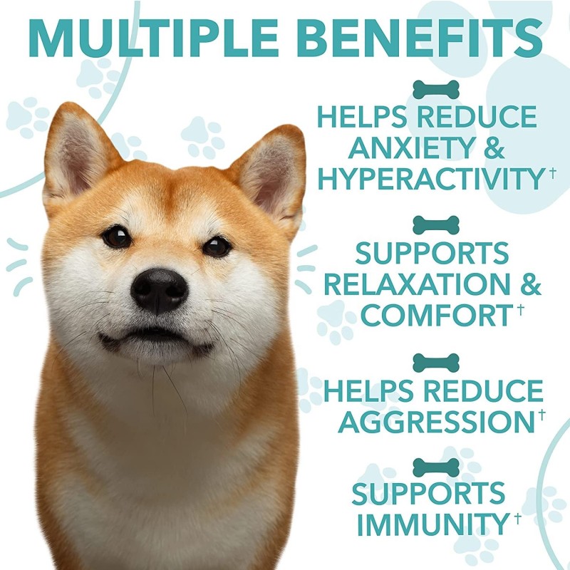 OEM Private Label Pet Calming Chewable Vitamins Treats for Dogs Anxiety Relief Cats Chews by Pet Health Care Supplements