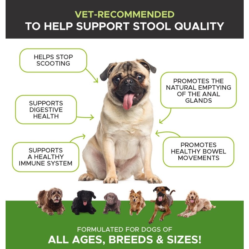 Natural Digestive Probiotic Soft Chews for Dogs Pet Health Care Supplement to Support Normal Bowel Function Anal Gland Health