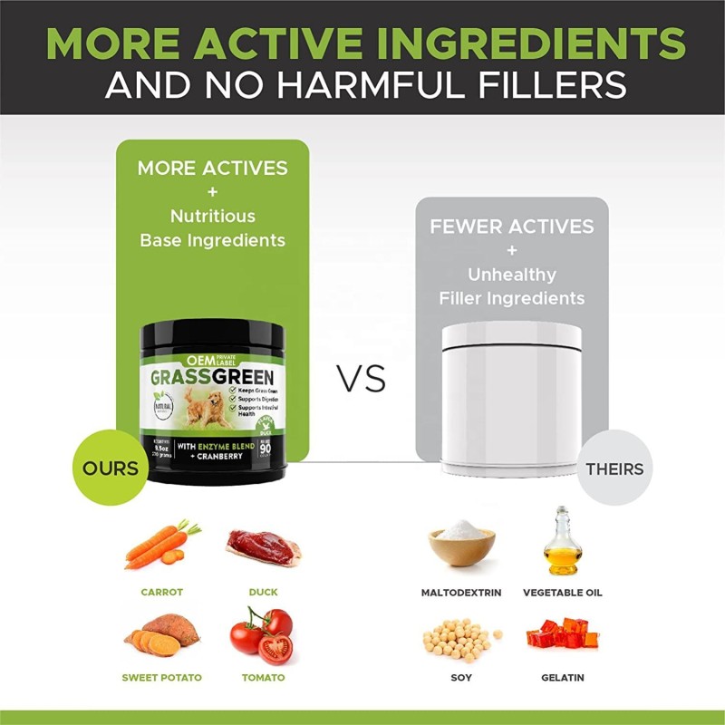 OEM Advanced Hip Joint Supplement for Dogs with Glucosamine Chondroitin MSM Probiotic Vitamin Boost Pet Health Care Supplements