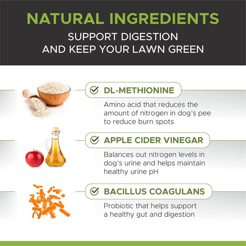 OEM Advanced Hip Joint Supplement for Dogs with Glucosamine Chondroitin MSM Probiotic Vitamin Boost Pet Health Care Supplements