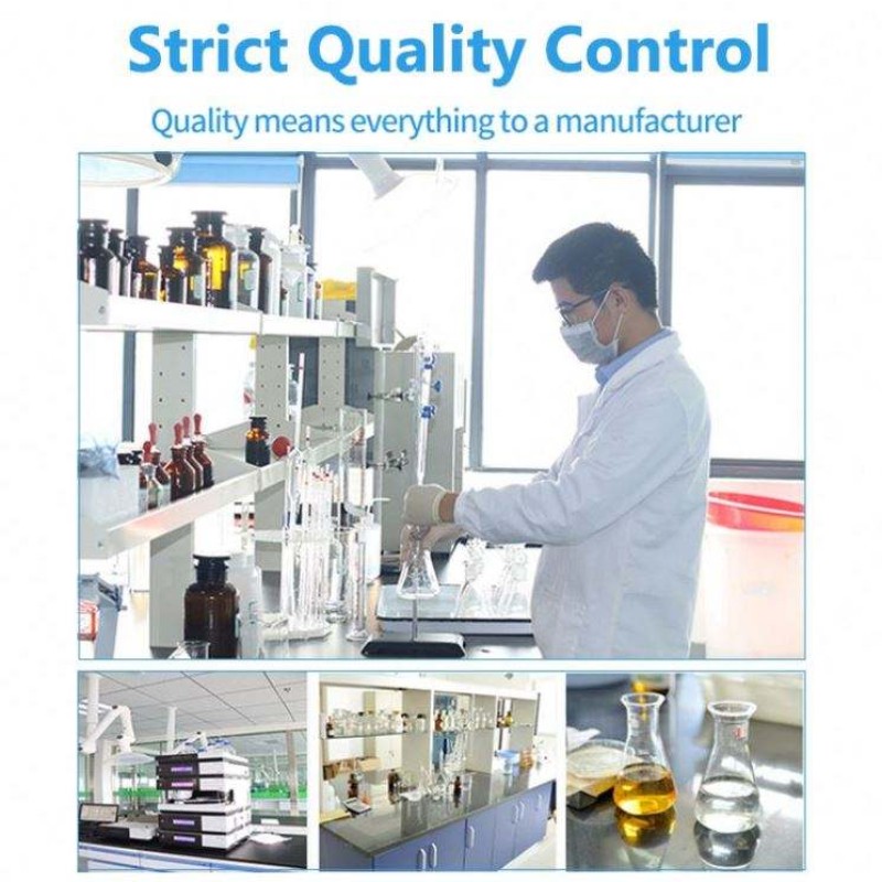 Private Label Super Green Vegan Organic Energy Immune Digestion Supplement Superfood Powder With Spirulina Chlorella Probiotics