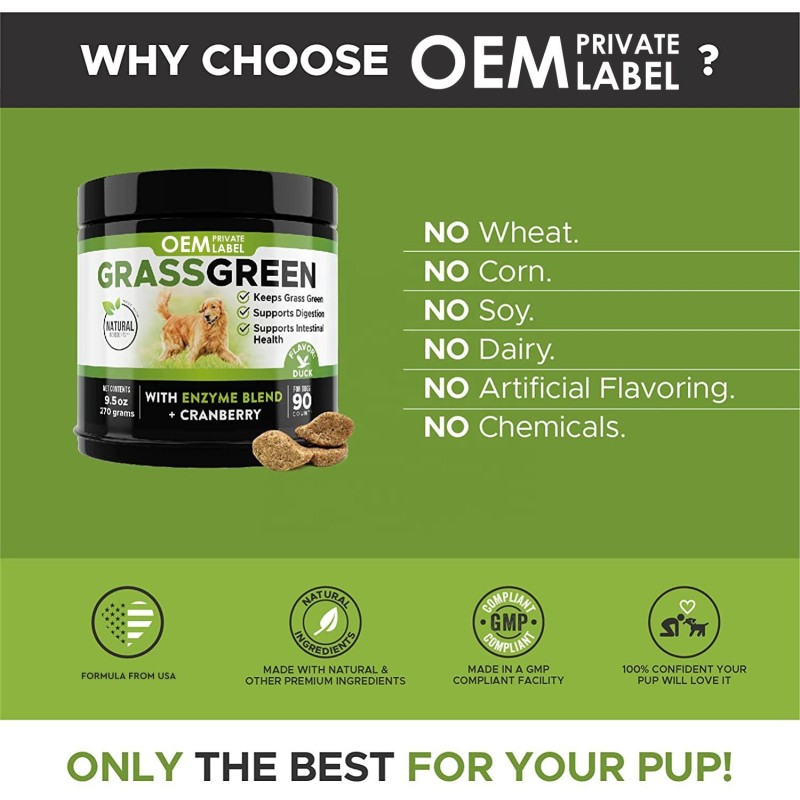 OEM Advanced Hip Joint Supplement for Dogs with Glucosamine Chondroitin MSM Probiotic Vitamin Boost Pet Health Care Supplements