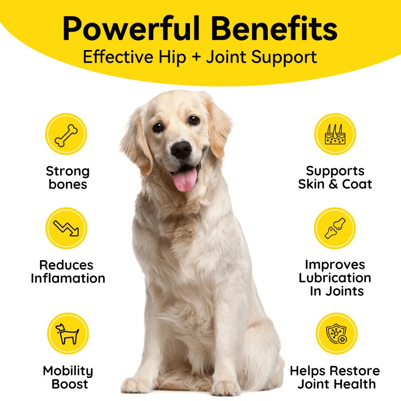 OEM Multivitamin Soft Chew Nutrition Supplements for Dogs Cats 10 1 Dog Multivitamin Glucosamine Immune Vitamins Pet Health Care