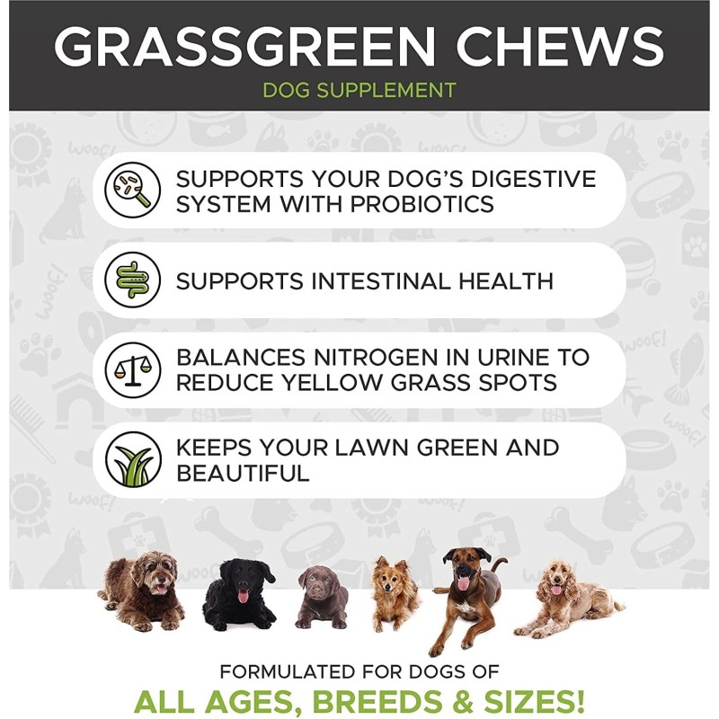 OEM Advanced Hip Joint Supplement for Dogs with Glucosamine Chondroitin MSM Probiotic Vitamin Boost Pet Health Care Supplements