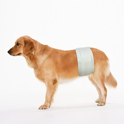 Wet Wipes Manufacturer - Private Label Disposable Water-Activated Sensitive Household Baby