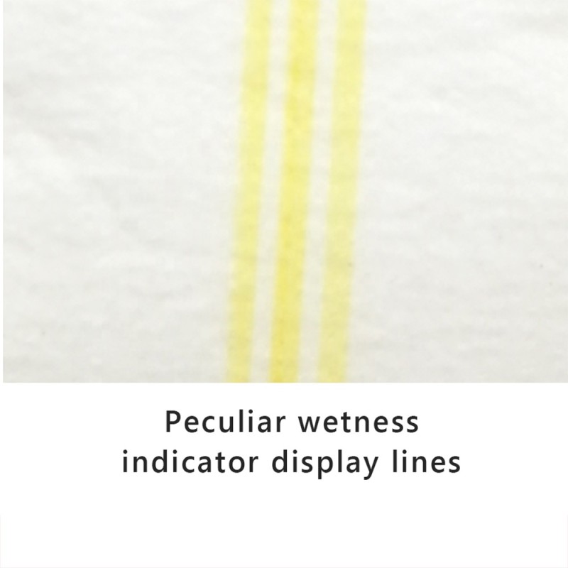 Sanitary Pads Manufacturer - 384 Pcs Ultra-Thin 8 Pcs/Box 48 Boxes/CTN 350mm Biodegradable Ladies Organic