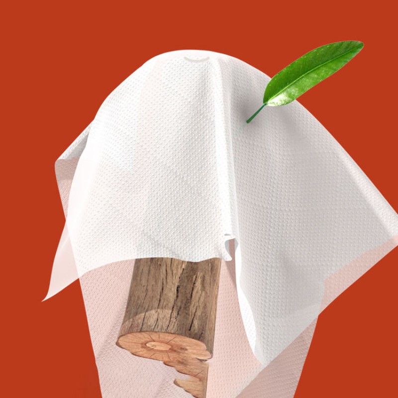 Baby Pants Manufacturer - High Quality Disposable Pull-Up Design Competitive Sale Cheap