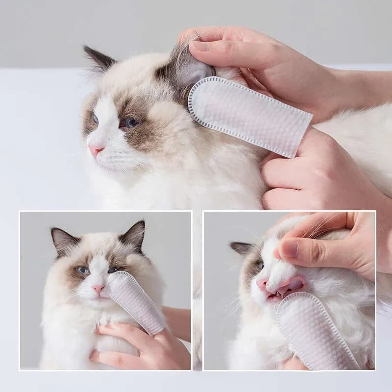 Pet Dental Wipes Manufacturer - Disposable Toothbrush Finger Cot Soft Cleaning