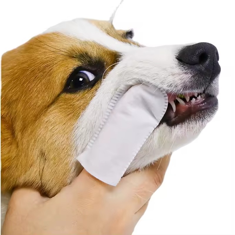 Pet Dental Wipes Manufacturer - Disposable Toothbrush Finger Cot Soft Cleaning