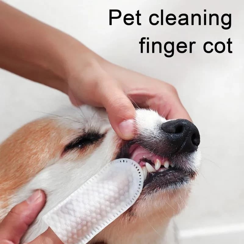 Pet Dental Wipes Manufacturer - Disposable Toothbrush Finger Cot Soft Cleaning