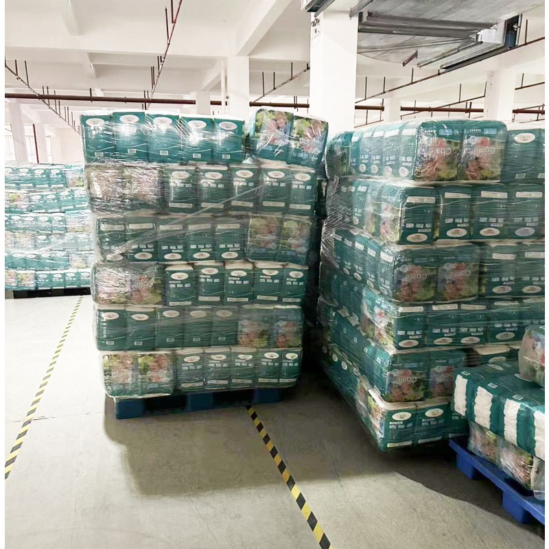 Adult Pull Up Diapers Factory - Wholesale High Absorbency Elderly Disposable