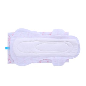 Sanitary Napkins Factory - Hot Selling Multi Style Customize Period Pad