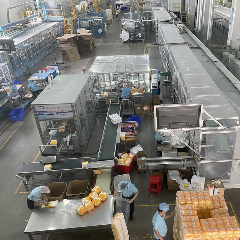 Adult Diapers Supplier - Wholesale Free Sample Cheap Printed Super Thick Disposable