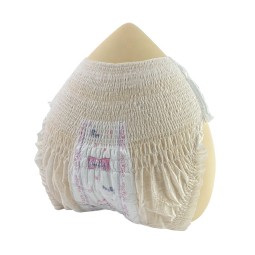 Sanitary Napkin Pants Factory - OEM Custom Logo Wholesale Premium High Absorption