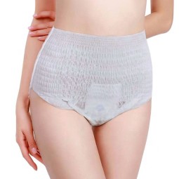 Sanitary Napkin Pants Factory - Free Sample Lady Disposable Period Panties Women