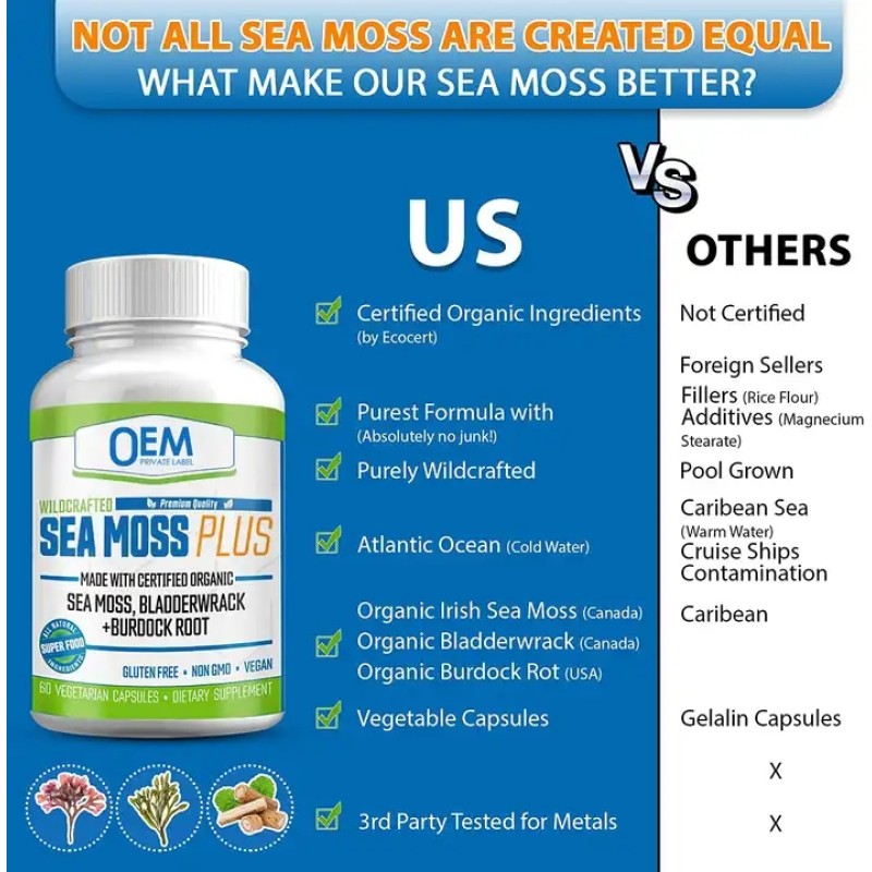 Private Label Organic Irish Moss Powder Capsule Extract Supplement Beauty Sea Moss Bladderwrack Burdock Capsules for Adults