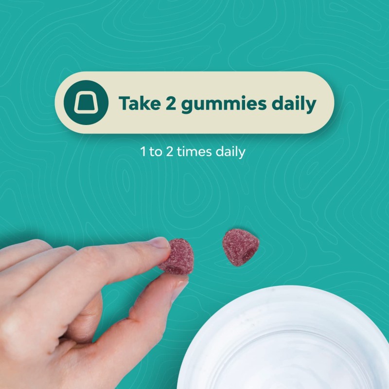 Sleeping Bear Gummies Threonate Cramp Relaxation OEM Magnesium Glycinate Gummy Vitamin Capsules Beauty Product for Adults