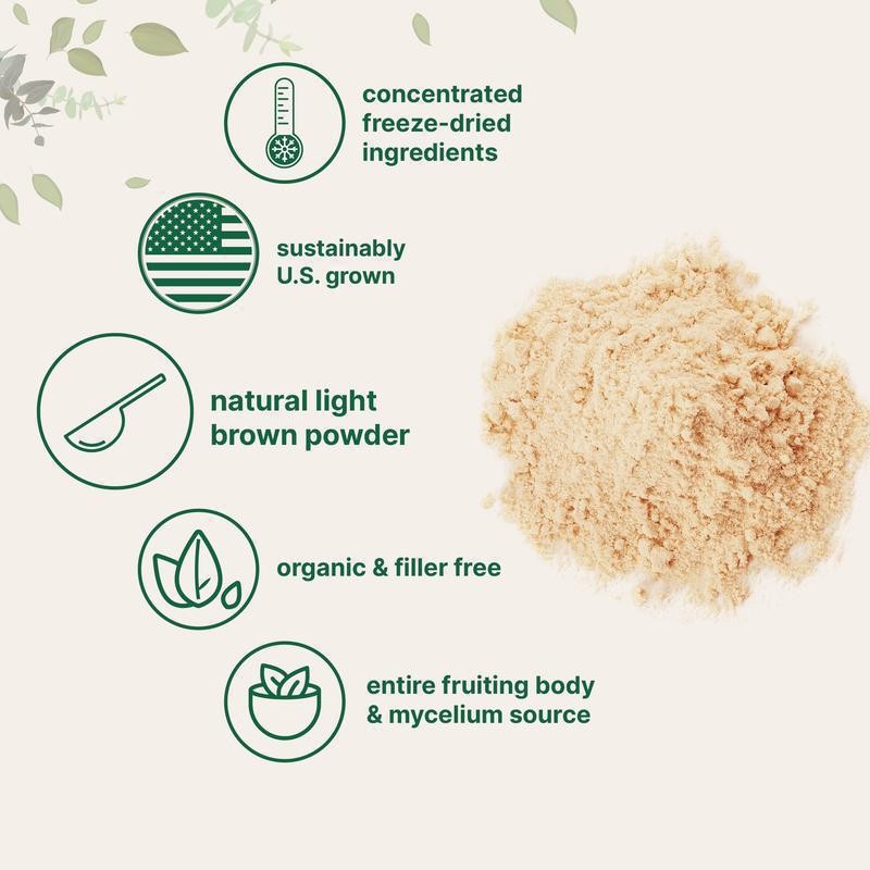 ODM Organic Lion's Mane Powder for Adults Energy Support Brain Function & Immunity Defense Not for Pregnant Women