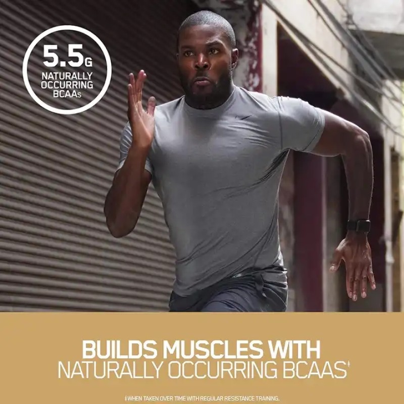 OEM Sport Nutrition Whey Protein Powder Creatine Supplement for Weight Gain Muscle Mass Gainer for Adults Use Pregnant Women