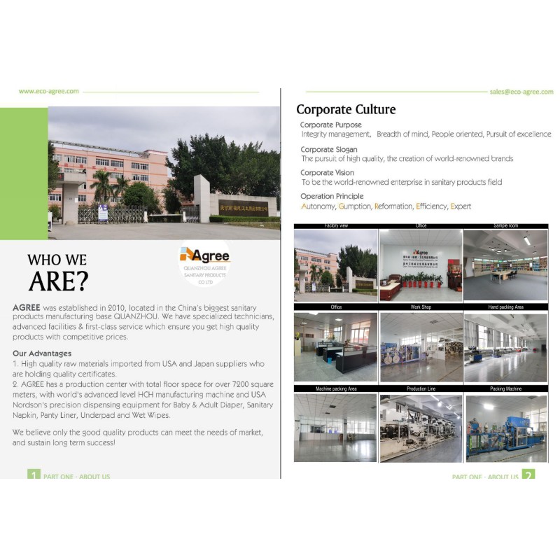 Sanitary Pads Factory - Free Sample Cotton Anion Menstrual Disposable