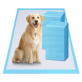 Pet Pads Manufacturer - Hot Seller Ultra Absorbent Leak Proof Odor Control Training China Suppliers
