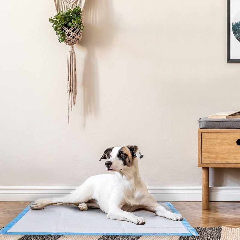 Pet Pads Manufacturer - China Factory Wholesale Urine Pads Disposable Training Super Absorbent