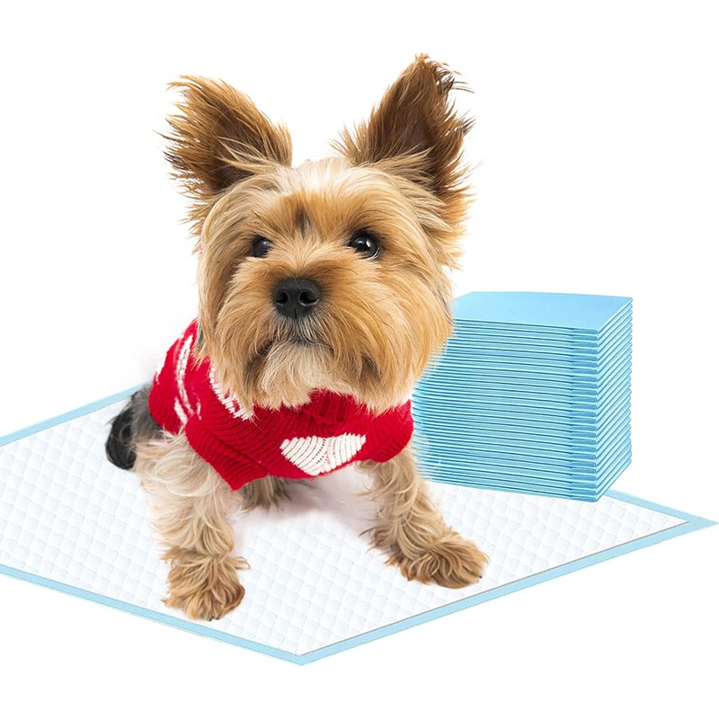 Pet Pads Manufacturer - China Suppliers A Grade High Quality Training Mats Hot Seller Customized