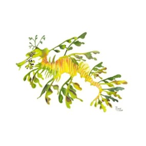 Stamp Stickers Manufacturer - Australian Beach Style Ocean Symbol Roll Stickers