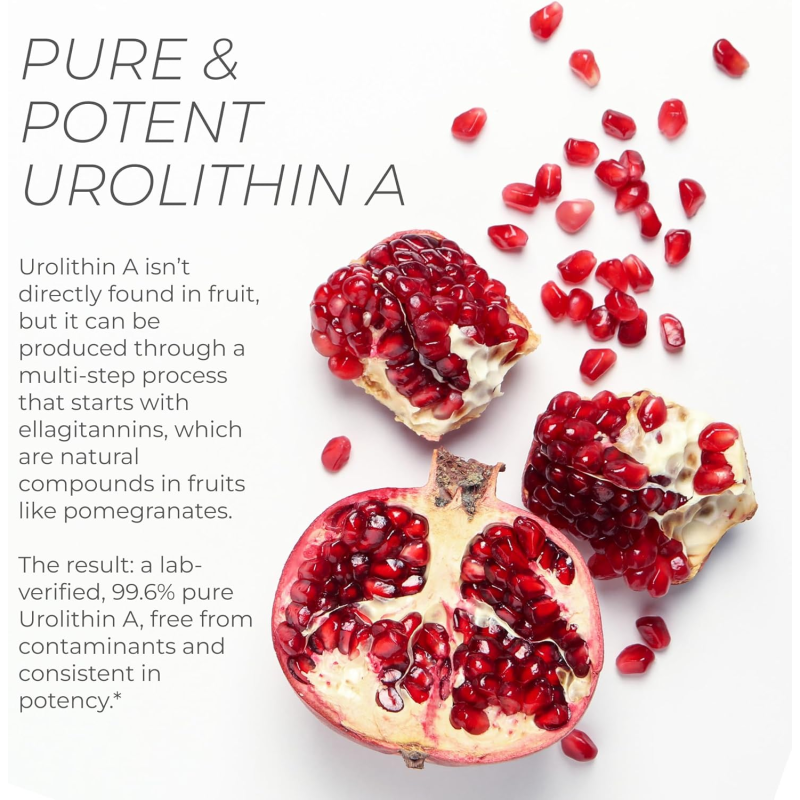 Urolithin Capsules Manufacturer - BioFlex China Manufacturer Wholesale OEM Private Label 1000mg