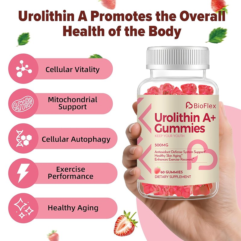 Urolithin Gummies Manufacturer - BioFlex OEM Private Label Natural 500mg Urolithin Dietary
